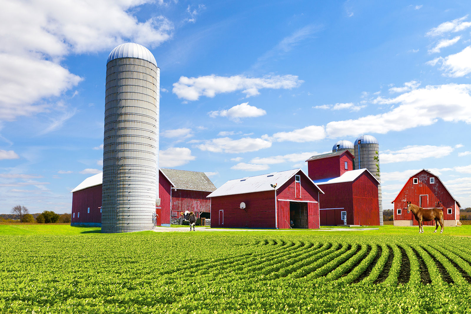 Farm Insurance
